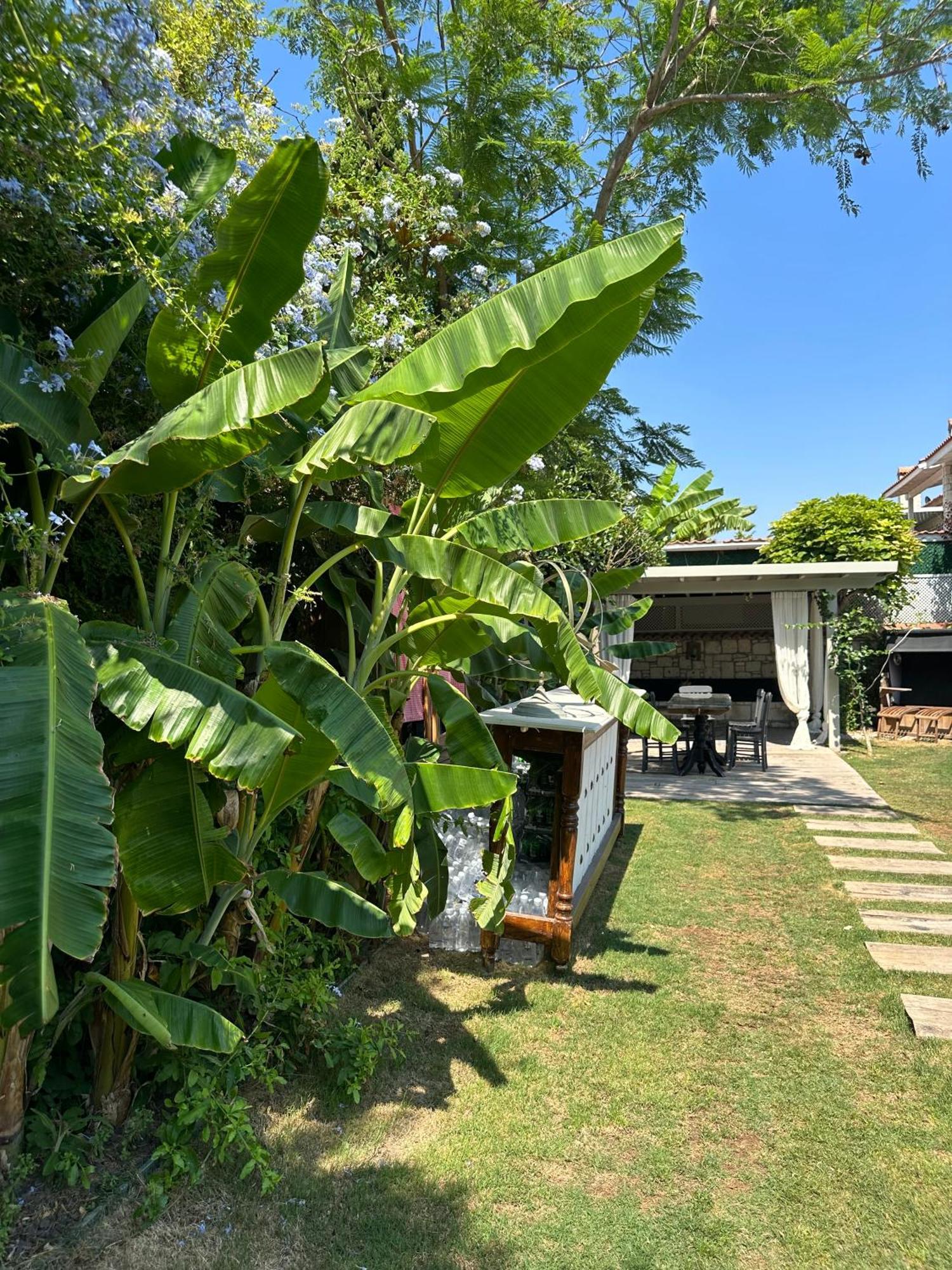 Argente Alacati (Adults Only) מראה חיצוני תמונה